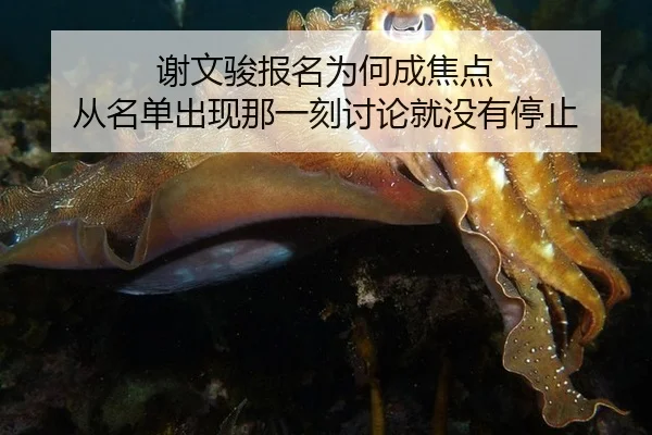 xie-wen-jun-bao-ming-wei-he-cheng-jiao-dian-cong-ming-dan-chu-xian-na-yi-ke-tao-lun-jiu-mei-you-ting-zhi-2-987.jpg